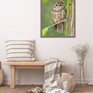 Northern Spotted Owl Fine Art Watercolor Print by Ashley - Etsy
