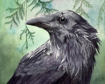 Raven Fine Art Watercolor Print by Ashley Nelson