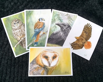 Birds of Prey Postcard Pack, fine art Postcards by Ashley Nelson