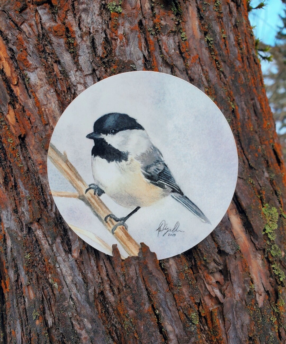 Chickadee Vinyl Sticker by Ashley Nelson - Etsy