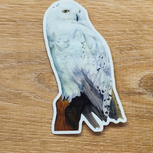 May include: A sticker depicting a watercolour illustration of a snowy owl perched on a brown branch. The owl has white feathers with grey and black markings, yellow eyes, and is set against a light wood grain background.