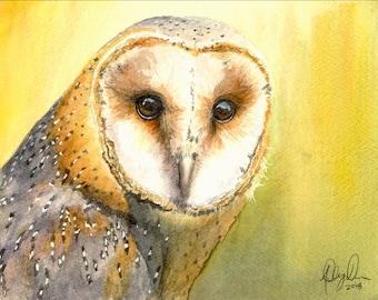 Barn Owl Fine Art Watercolor Print by Ashley Nelson