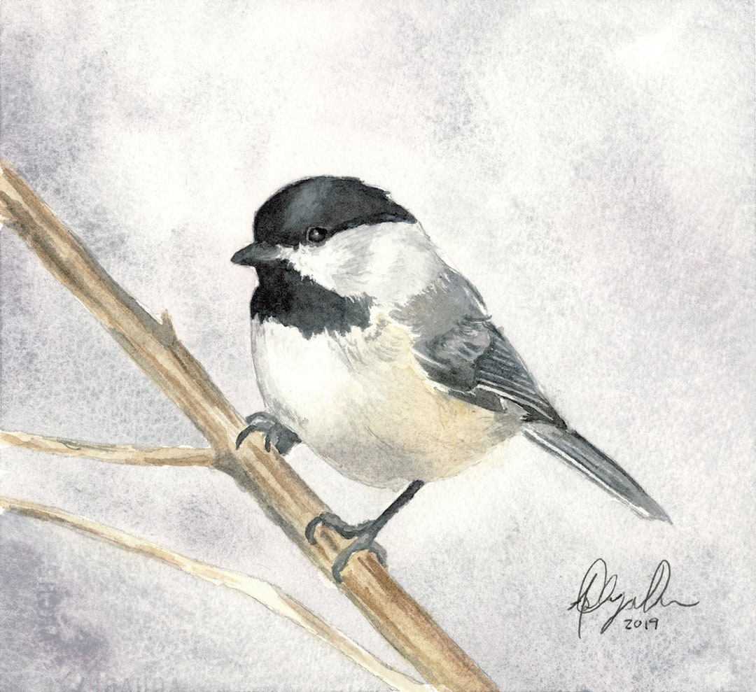 Black Capped Chickadee Fine Art Watercolor Print by Ashley Nelson - Etsy
