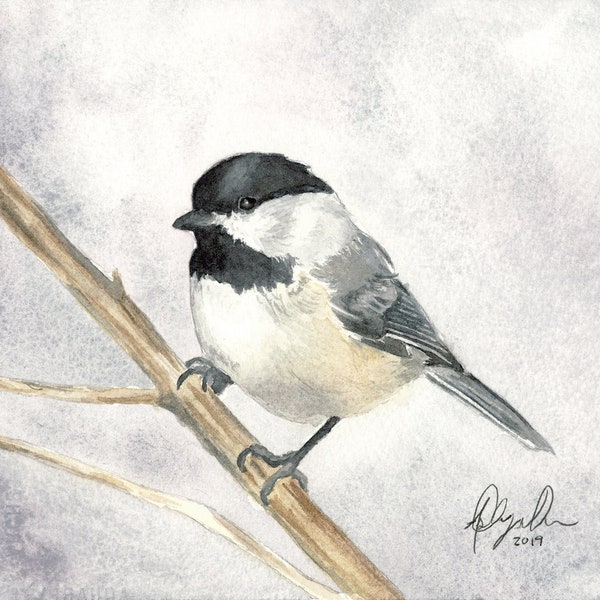 Black Capped Chickadee Fine Art Watercolor Print by Ashley Nelson