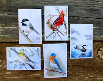Watercolor Birds Postcard Pack, fine art Postcards by Ashley Nelson