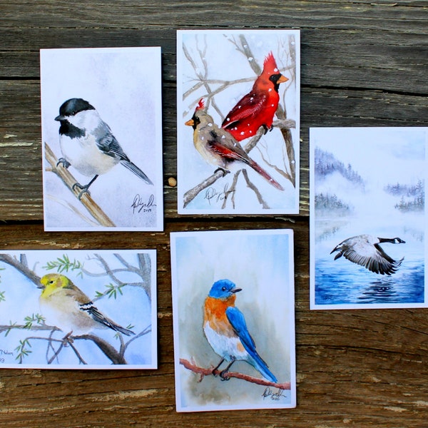 Watercolor Birds Postcard Pack, fine art Postcards by Ashley Nelson