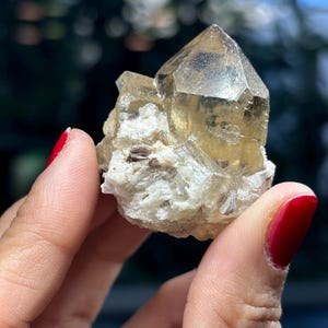 Natural Citrine   | For Love and Crystals