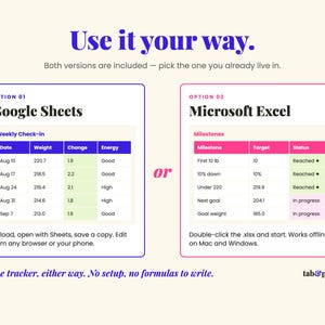 May include: A digital tracker template comparison featuring two options: Google Sheets with a blue border and Microsoft Excel with a pink border. The text reads Use it your way, Option 01 Google Sheets, Weekly Check-in, Option 02 Microsoft Excel, Milestones, and tab&paper.
