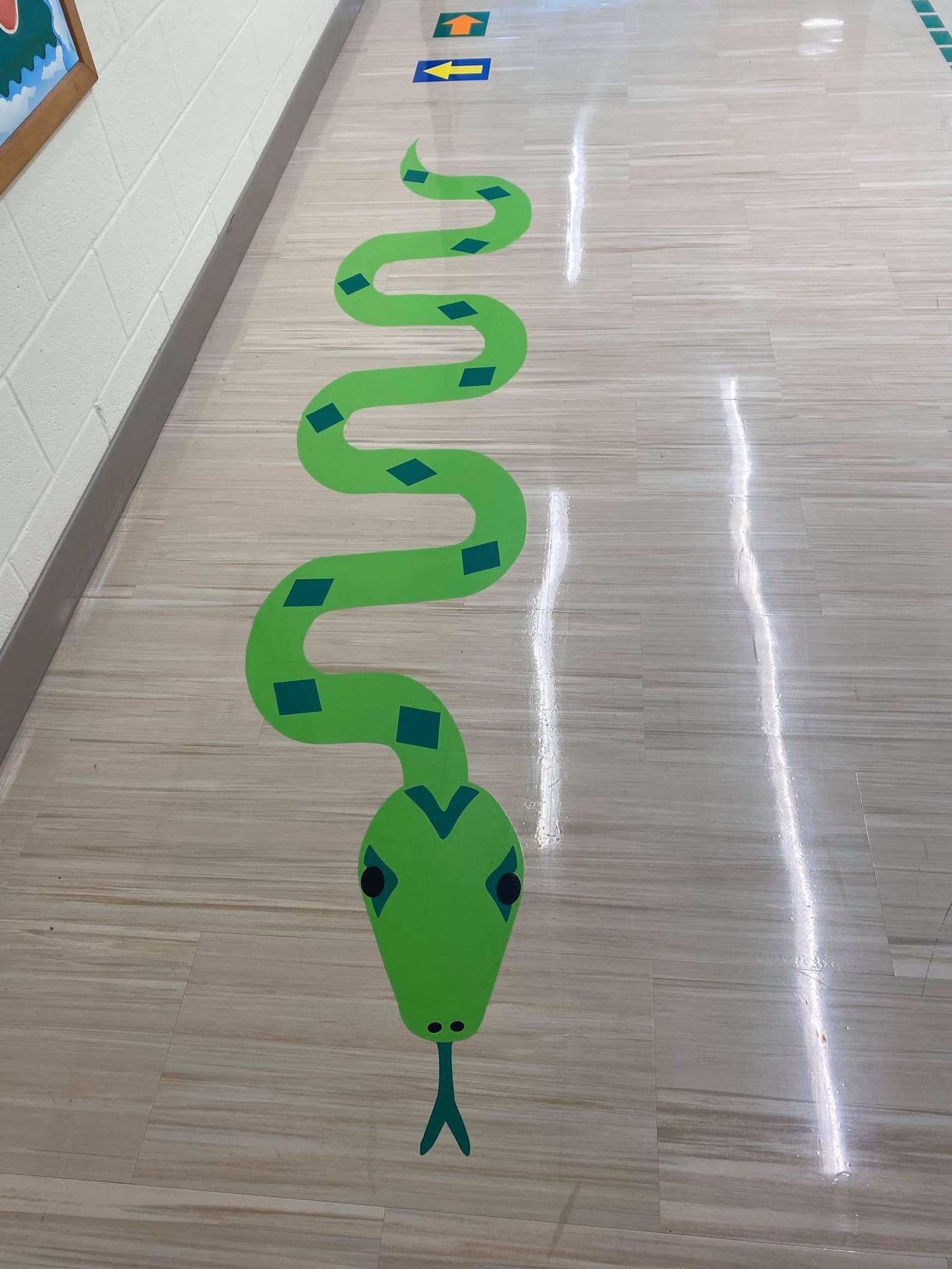 Snake walk. Snake walk