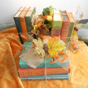 FALL BOOK BUNDLES/Choose One Bundle/ #1 or # 3