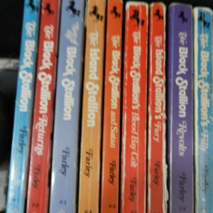 May include: A collection of vintage children's books featuring the "Black Stallion" series by Walter Farley. The spines are in various colors, including blue, red, orange, and purple, with titles and author names visible.