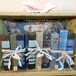 Puede incluir: Un estante con una concha en la parte superior y una fila de libros azules y marrones decorados con cinta azul y blanca, cuerda y conchas. Los libros están etiquetados con títulos como "Reader's Digest Condensed Books" y "Beloved Books for Young Readers".