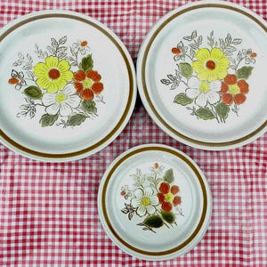 May include: A set of three ceramic plates with a floral design. The plates feature a light blue background with a brown rim and a colorful floral pattern in yellow, orange, and white. The plates are arranged on a red and white checkered tablecloth.