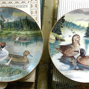 May include: Two decorative plates with gold rims, each featuring a detailed painting of ducks in a serene lake setting. The plates showcase a variety of duck species, with lush greenery and a cabin in the background.