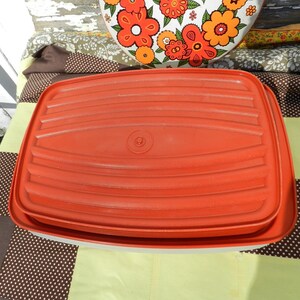 PAPRIKA MEAT TENDERIZER/Tupperware