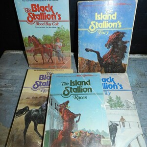 May include: A collection of vintage paperback books featuring horse-themed titles. The covers display illustrations of horses, riders, and various scenes. Titles include "The Black Stallion's Blood Bay Colt" and "The Island Stallion's Fury."