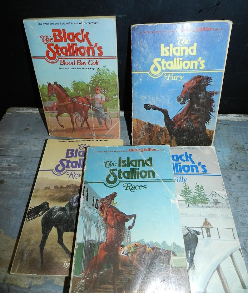 May include: A collection of vintage paperback books featuring horse-themed titles. The covers display illustrations of horses, riders, and various scenes. Titles include "The Black Stallion's Blood Bay Colt" and "The Island Stallion's Fury."