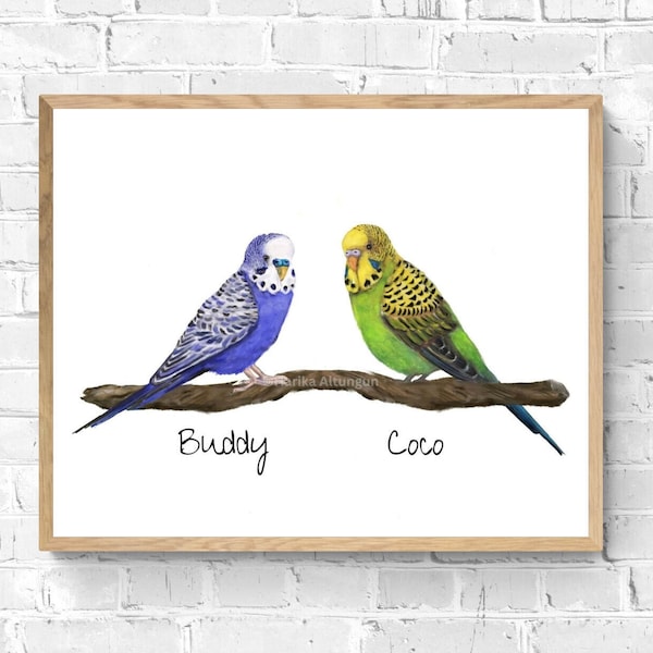 Customized Parakeet Print, Budgie Pair Art, Green Blue Purple Yellow Budgerigar Art, Bird Memorial Painting, Unique Bird Mom Dad Gift,