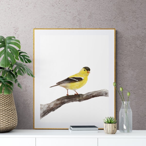 Original Goldfinch Print, Goldfinch Bird Painting, Yellow Bird Print, Goldfinch Holiday Print, Living Room Wall Art, Bird Watcher Gift