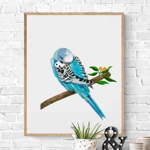 Sleeping Blue Parakeet, Blue Budgie Resting, Blue Bird Memorial, Tropical Bird Art, Bird Lover Gift, Animal Wall Artwork, Bird Illustration