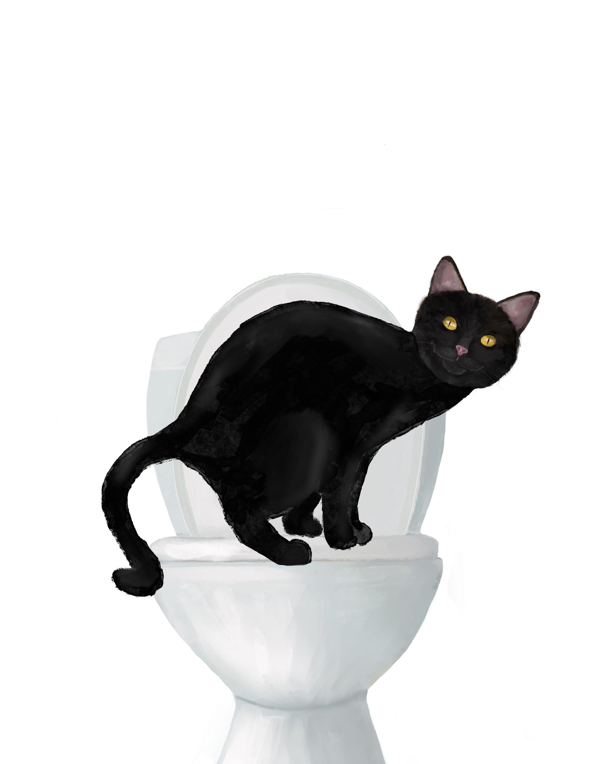 Set of 2 Black Cat Bathroom Wall Art Bathroom Wall Decor Set Etsy