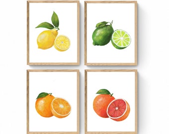 Set of 4 Fruit Print, Lemon, Orange, Lime Blood Orange Art, Kitchen Wall Decor, Citrus Painting, Fruit Illustration, Farmhouse Wall Decor