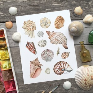 Aquarell Muschel Kunstdruck, Ozean Wandkunst, Strand Haus Dekor, Küsten Dekor, Natur Illustration Druck, Meeresbiologie Druck