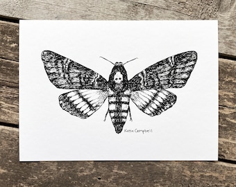 Deaths Head Moth Ink Illustration, Moth Print, Black and White Moth Art, Dark Academia Decor