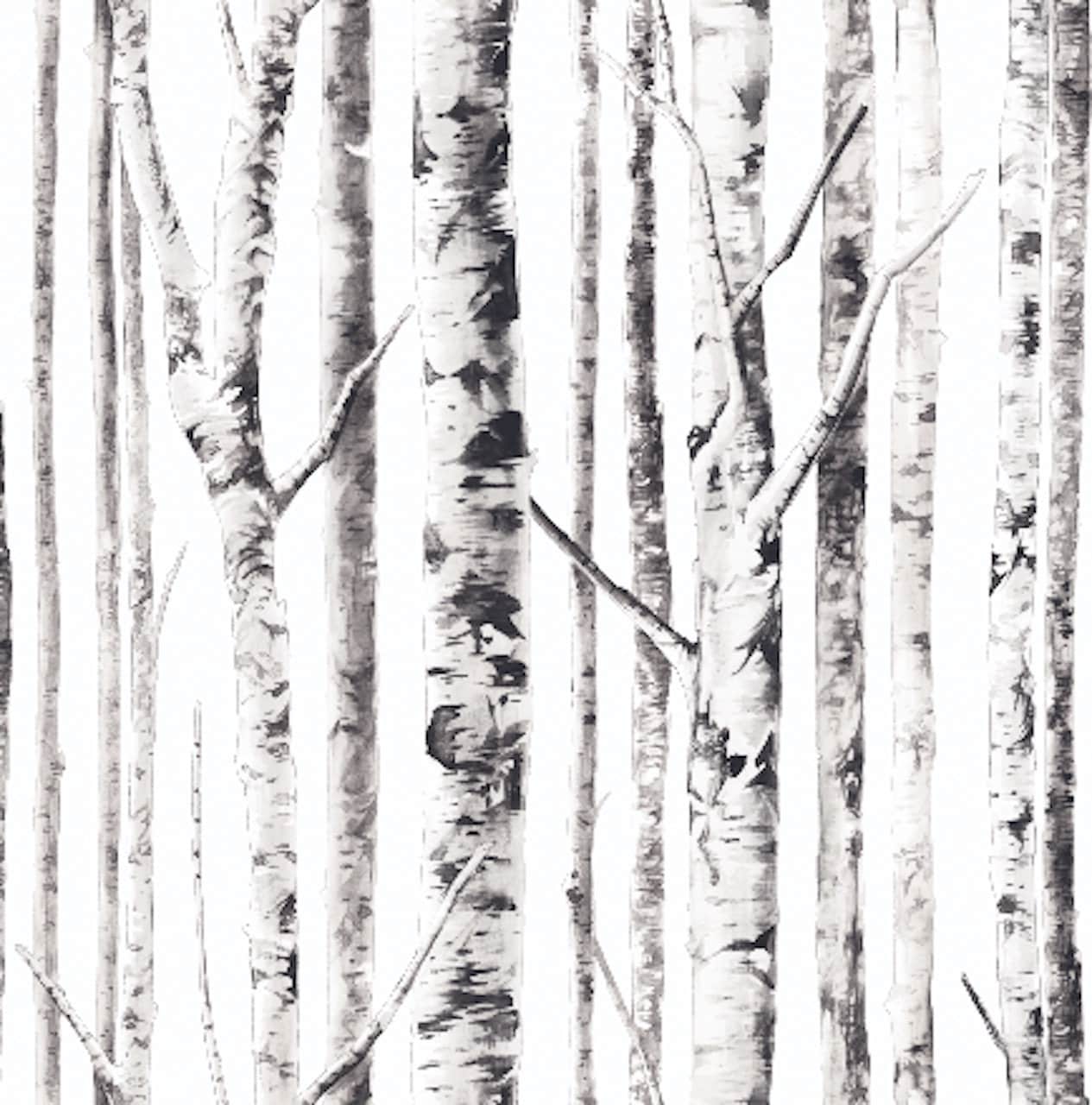 Birch Tree Removable Wallpaper Black and White Modern Peel and Etsy