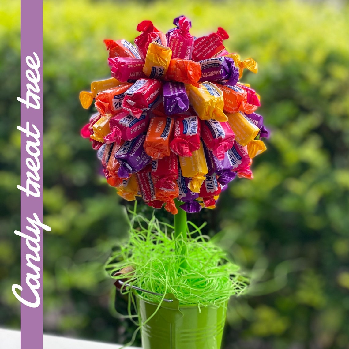 Candy lolly tree topiary perfect gift or table centrepiece. Etsy