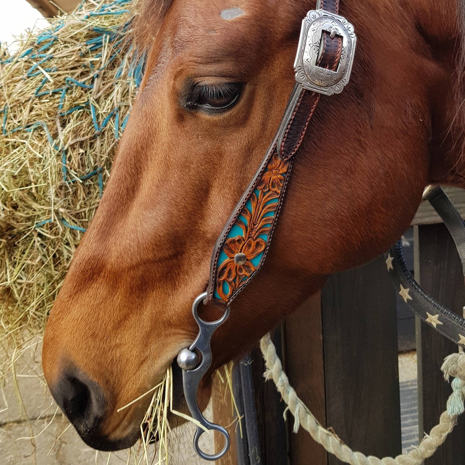 Custom western handmade leather horse tack headstalls and Etsy