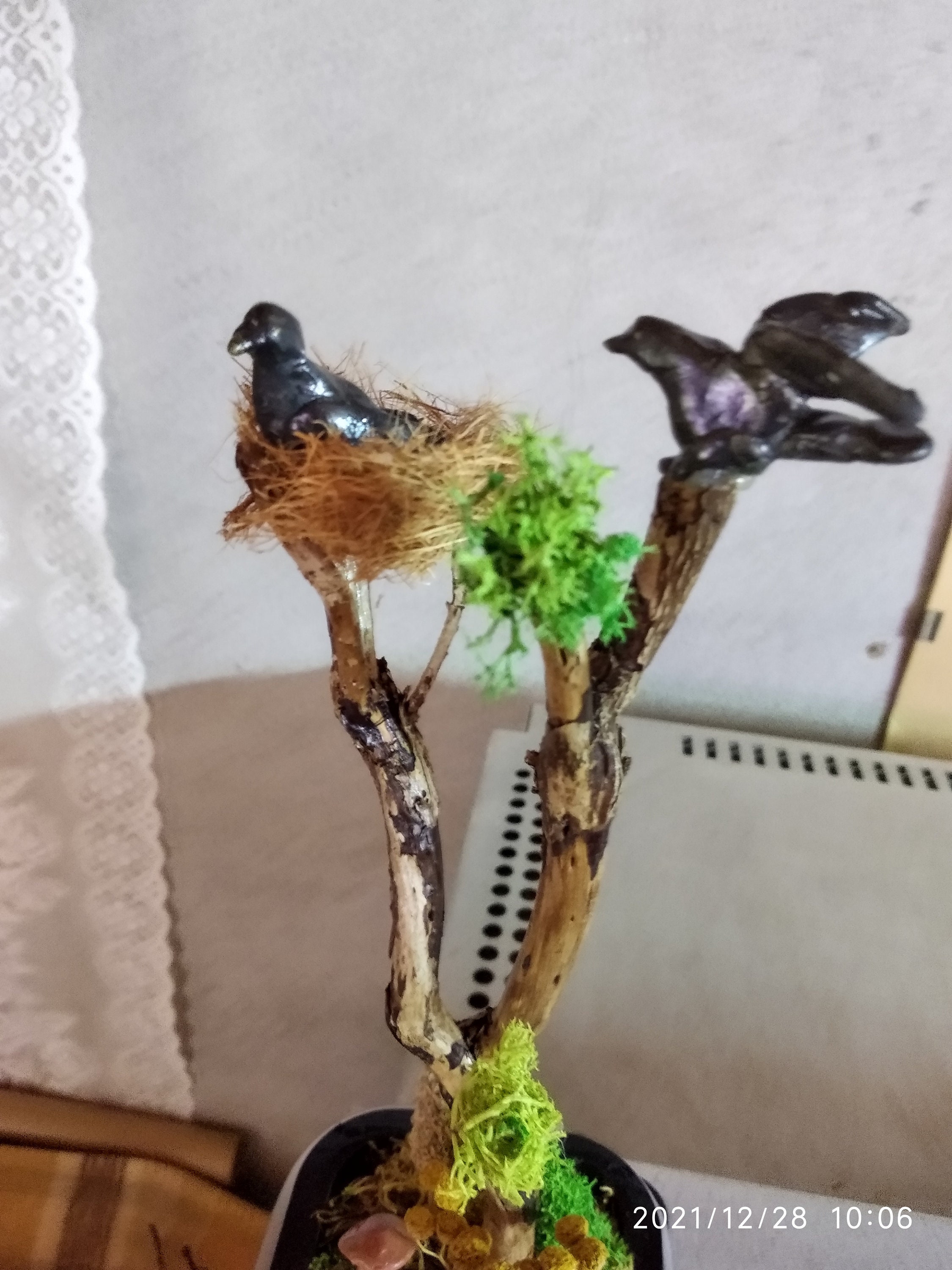 Florarium From Natural Dry Plants. Mini Landscape Of Plants.