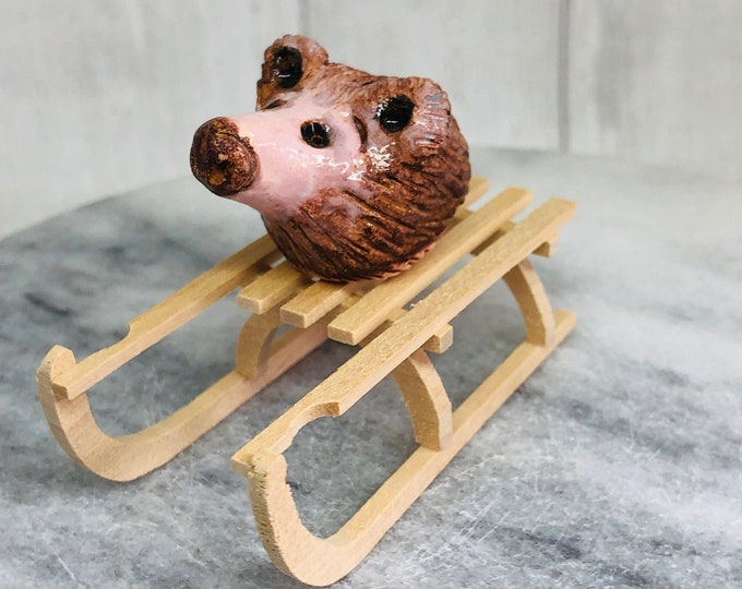 Hedgehog, Fun Sledge Animal, Handmade Quirky Gifts,, Funny Pet friend, Home Decoration, Sledging Ornament, Home Interiors.