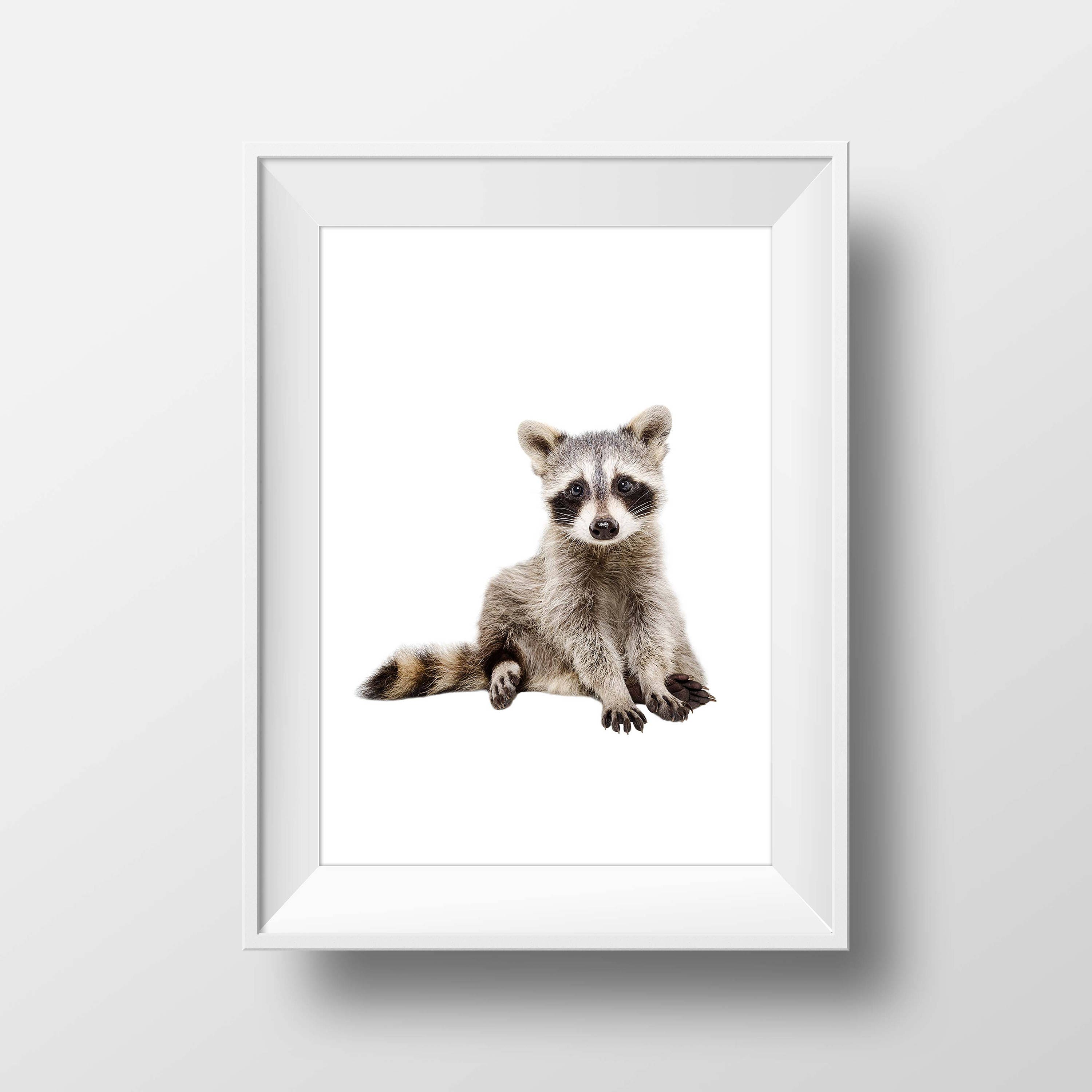 Letreros De Metal Vintage Con Texto En Inglés There Was A Girl Who Really Loved Raccoons  There Was A Girl Who Really Loved Raccoons There Was A Girl Who Really Loved Raccoons Poster Retro