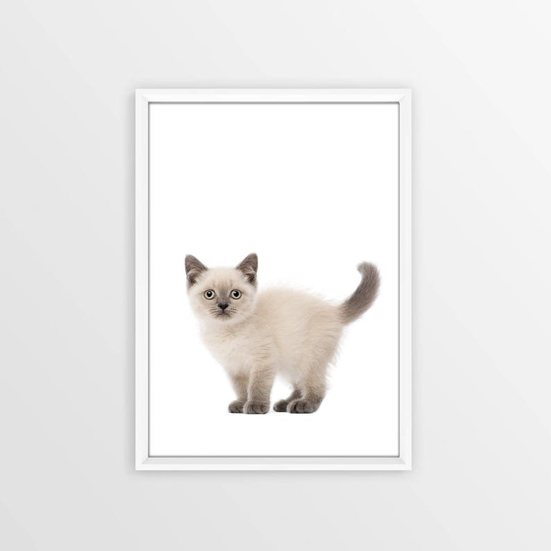 Siamese Kitten for Nursery, Quick Baby Shower Gift, Funny Little Kitten Print, Kitten for Baby