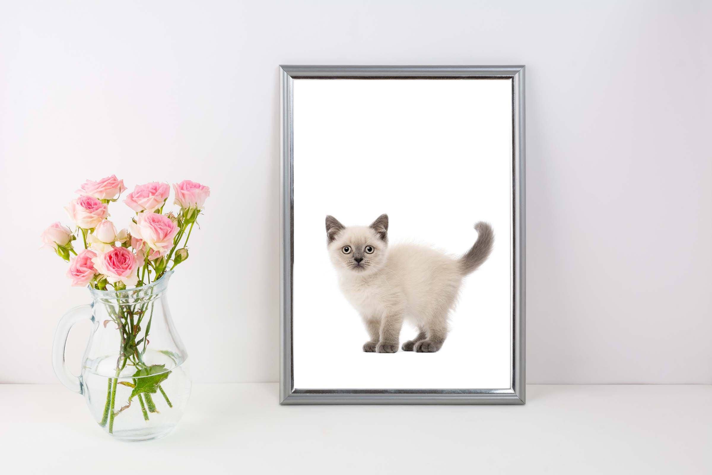 Siamese Kitten for Nursery, Quick Baby Shower Gift, Funny Little Kitten Print, Kitten for Baby
