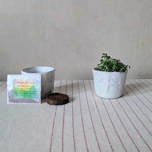 Handmade Tiny Pot, Coco Coir & Seeds | Mindful Gift, Nature Gift, Desk Garden