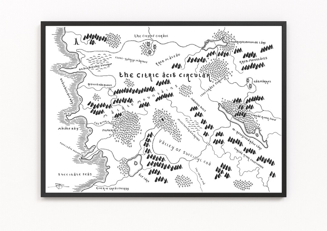 The CITRIC ACID CIRCULAR Map Print | Fictional Map | Minimalist Map Art ...