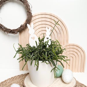 Könnte beinhalten: Ein weißer Keramiktopf mit einer grünen Sukkulentenpflanze. Zwei weiße Hasenfiguren sind in der Pflanze platziert. Der Topf steht auf einer Holzscheibe mit einer geflochtenen Matte darunter. Auf der Matte liegen gesprenkelte Ostereier.
