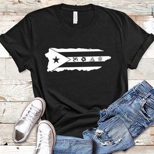 Coqui Sol Taino Puerto Rico Flag Shirt
