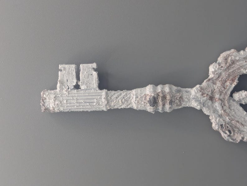 May include: A decorative, oversized key with a textured, aged appearance. The key is primarily white with hints of brown and gray, suggesting a weathered or antique finish. The key's design is ornate, with a detailed handle and a classic key shape.