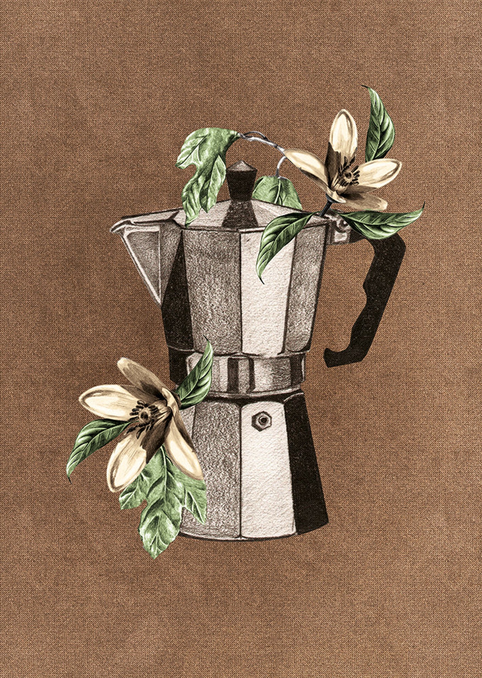 A4 Moka Pot Illustrated Print - Etsy