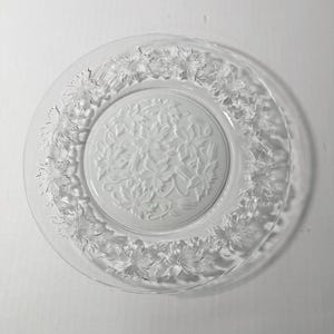 Vintage Fantasia 10&quot; Dinner Plates - Princess House Crystal - Fantasia Pattern