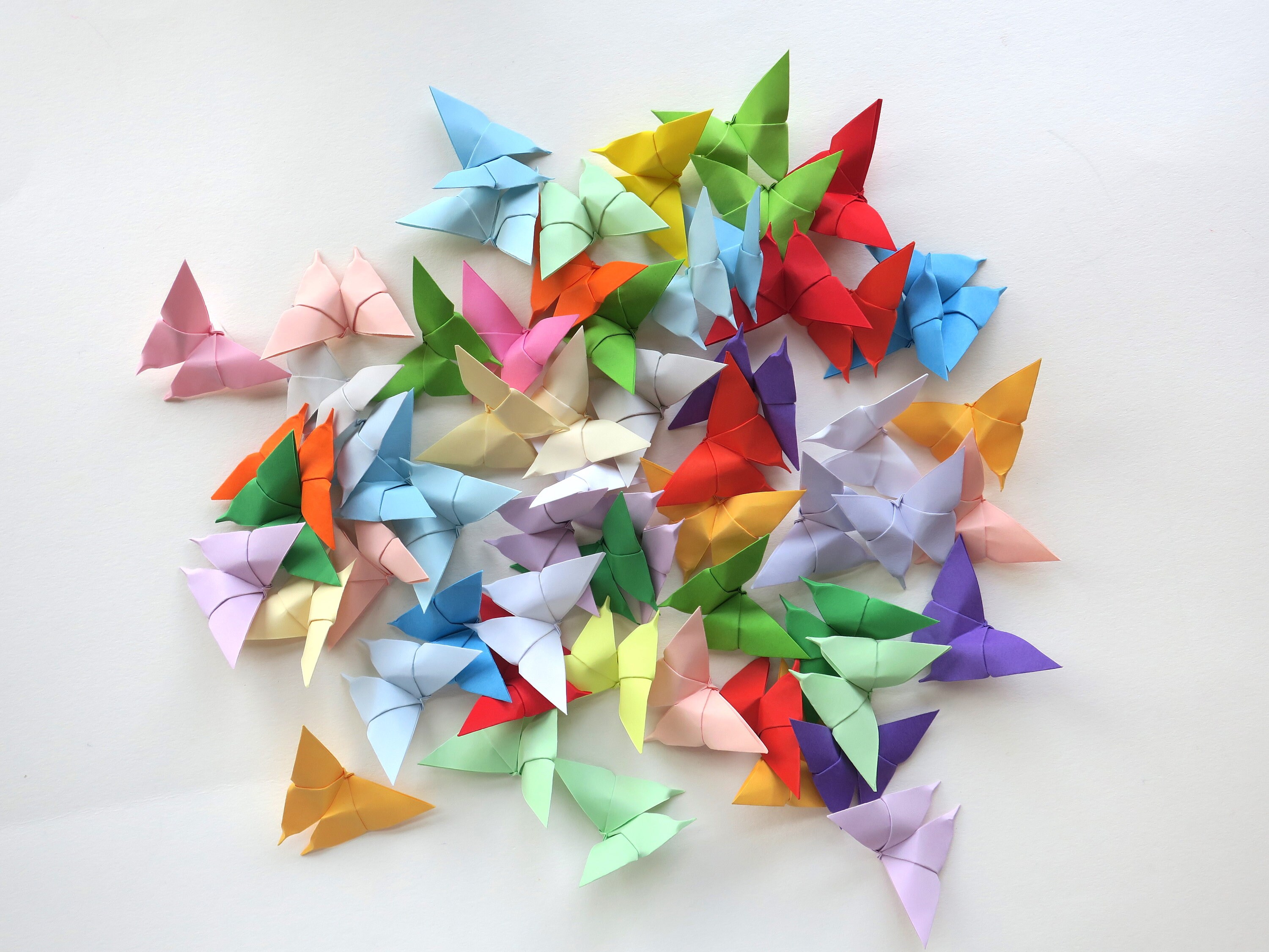 Origami Butterflies Pack Of 60 Mixed Colours Rainbow Wall Etsy