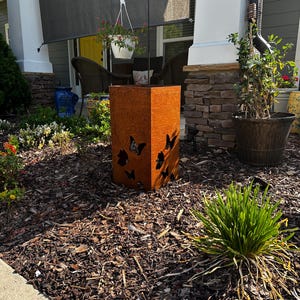 May include: A rusty metal planter with a square shape and cut-out butterfly designs. The planter is sitting on a bed of brown mulch.