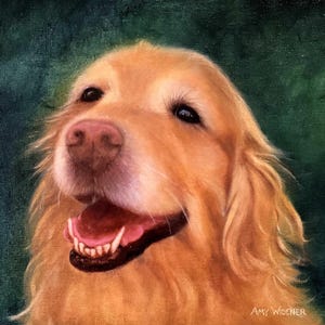 Pet Portraits in Oil