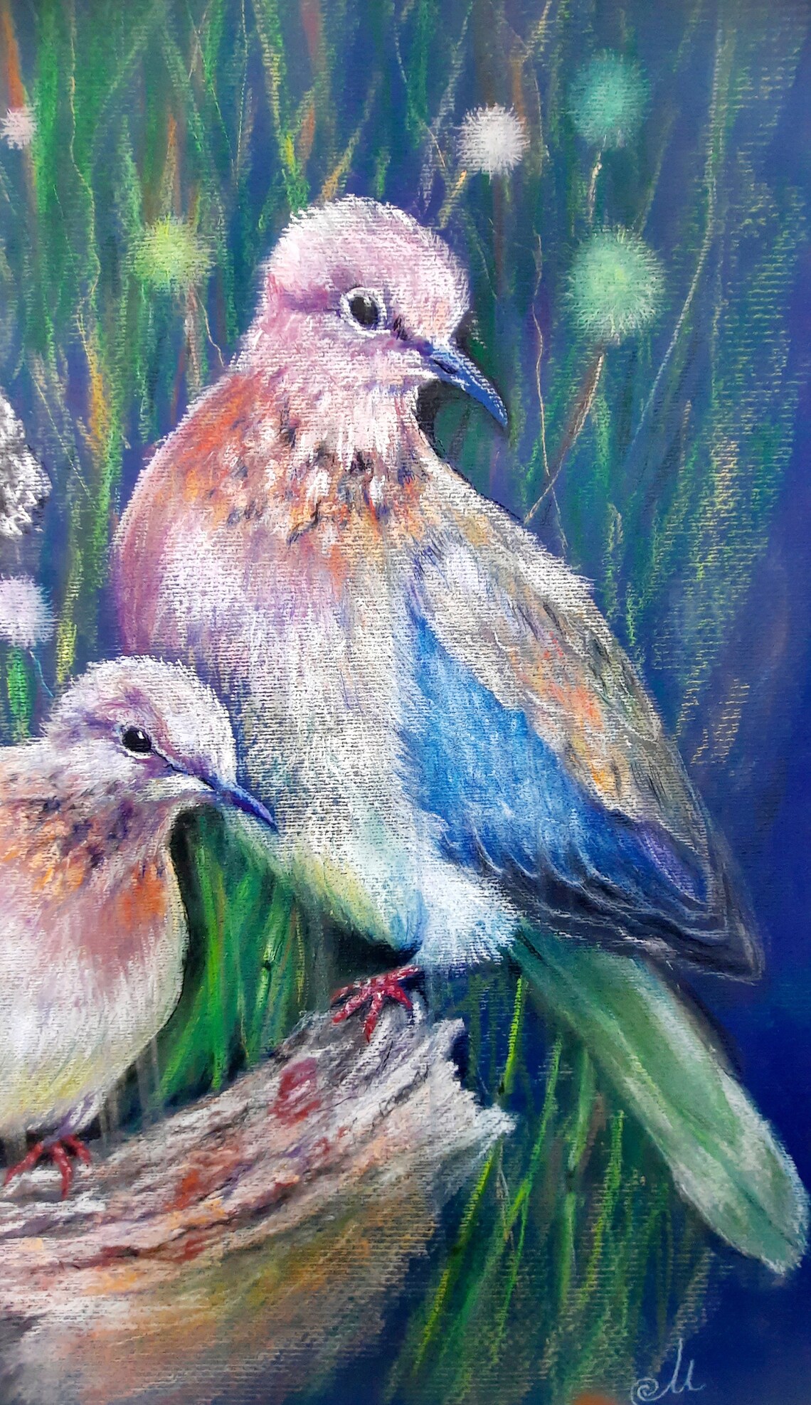 Framed Wall Decor Original Hand Painting Wild pigeons Bird Etsy