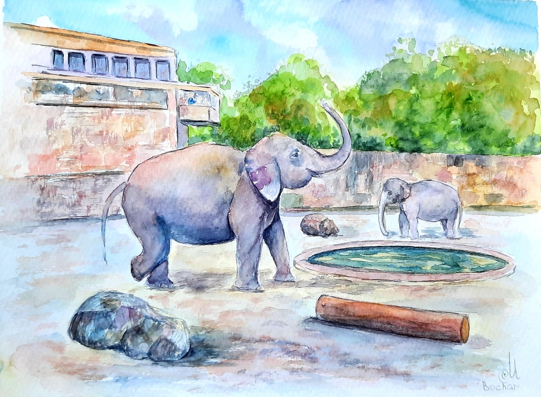 Watercolors Zoo Elephants Elephants Art Watercolor Etsy