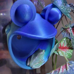 May include: A blue frog-shaped ceramic hide with a large opening for a small frog to enter. The frog is green and has a white stripe on its back. The hide is designed to be attached to the side of a terrarium.