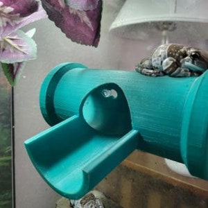 May include: A teal blue plastic frog habitat with a slide and a tunnel. A frog is sitting on top of the tunnel.